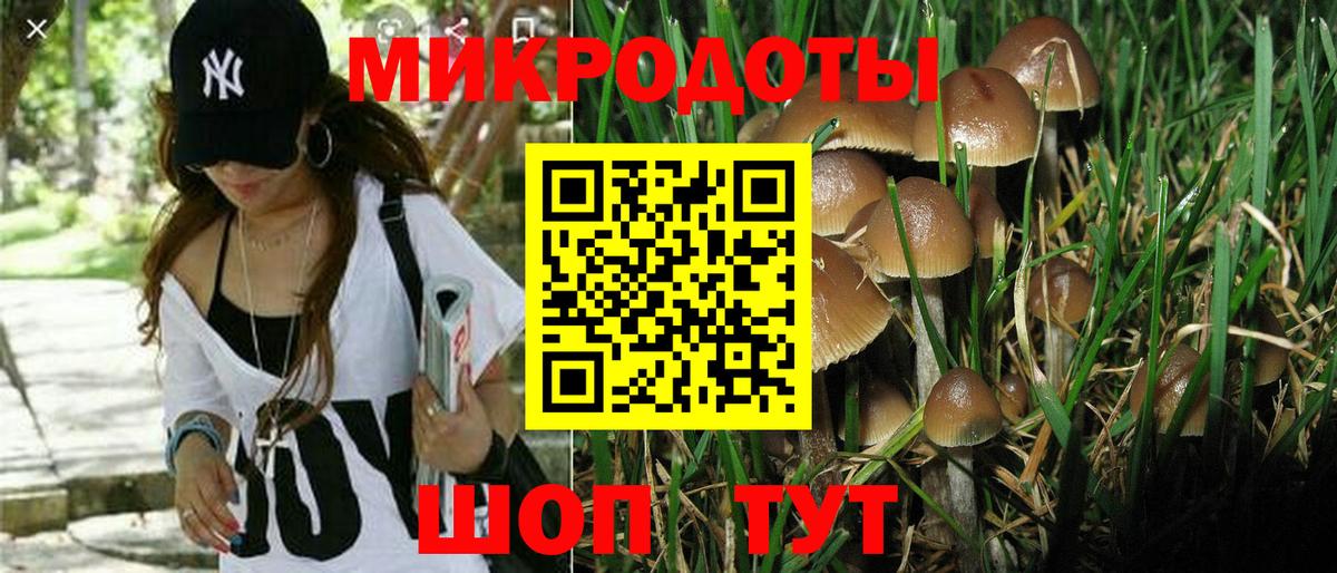 Галлюциногенные грибы мицелий  Вход с VPN  Рузаевка  Псилоцибиновые грибы мухоморы 